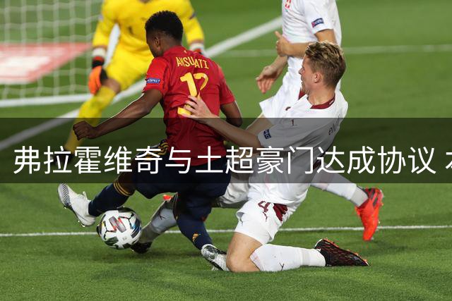弗拉霍维奇与土超豪门达成协议 本周或赴伊斯坦布尔体检